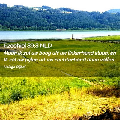 Picture 02 - Ezechiël 39:3 NLD - Maar Ik zal uw boog uit uw linkerhand slaan, en - Bible Verse Picture