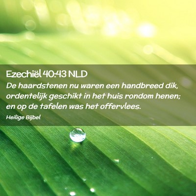 Picture 02 - Ezechiël 40:43 NLD - De haardstenen nu waren een handbreed dik, - Bible Verse Picture