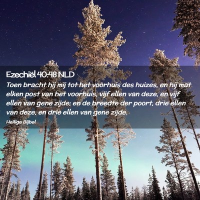Picture 02 - Ezechiël 40:48 NLD - Toen bracht hij mij tot het voorhuis des huizes, - Bible Verse Picture