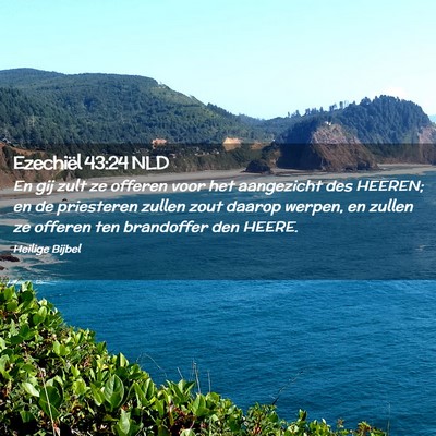 Picture 02 - Ezechiël 43:24 NLD - En gij zult ze offeren voor het aangezicht des - Bible Verse Picture