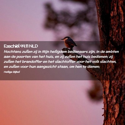 Picture 02 - Ezechiël 44:11 NLD - Nochtans zullen zij in Mijn heiligdom bedienaars - Bible Verse Picture