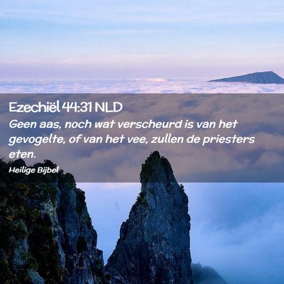Picture 02 - Ezechiël 44:31 NLD - Geen aas, noch wat verscheurd is van het - Bible Verse Picture