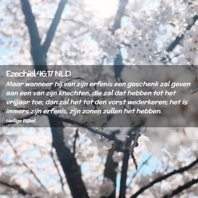 Picture 02 - Ezechiël 46:17 NLD - Maar wanneer hij van zijn erfenis een geschenk - Bible Verse Picture