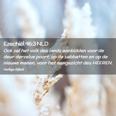 Picture 02 - Ezechiël 46:3 NLD - Ook zal het volk des lands aanbidden voor de deur - Bible Verse Picture