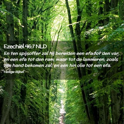 Picture 02 - Ezechiël 46:7 NLD - En ten spijsoffer zal hij bereiden een efa tot - Bible Verse Picture