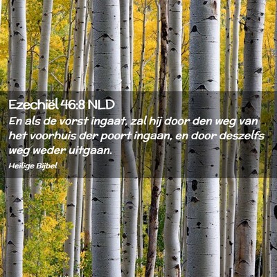 Picture 02 - Ezechiël 46:8 NLD - En als de vorst ingaat, zal hij door den weg van - Bible Verse Picture