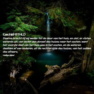 Picture 02 - Ezechiël 47:1 NLD - Daarna bracht hij mij weder tot de deur van het - Bible Verse Picture