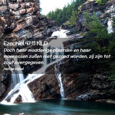 Picture 02 - Ezechiël 47:11 NLD - Doch haar modderige plaatsen en haar moerassen - Bible Verse Picture