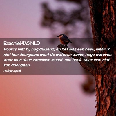 Picture 02 - Ezechiël 47:5 NLD - Voorts mat hij nog duizend, en het was een beek, - Bible Verse Picture