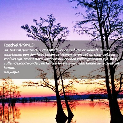 Picture 02 - Ezechiël 47:9 NLD - Ja, het zal geschieden, dat alle levende ziel, - Bible Verse Picture