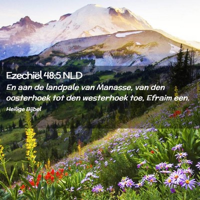 Picture 02 - Ezechiël 48:5 NLD - En aan de landpale van Manasse, van den - Bible Verse Picture