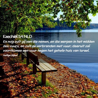 Picture 02 - Ezechiël 5:4 NLD - En nog zult gij van die nemen, en die werpen in - Bible Verse Picture