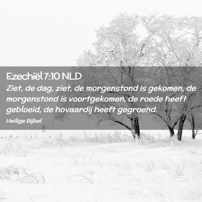 Picture 02 - Ezechiël 7:10 NLD - Ziet, de dag, ziet, de morgenstond is gekomen, de - Bible Verse Picture