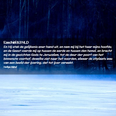 Picture 02 - Ezechiël 8:3 NLD - En Hij stak de gelijkenis ener hand uit, en nam - Bible Verse Picture