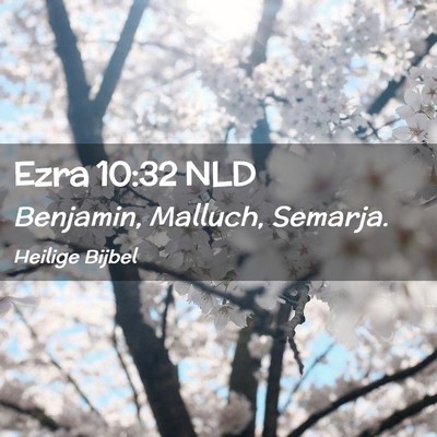 Picture 02 - Ezra 10:32 NLD - Benjamin, Malluch, - Bible Verse Picture