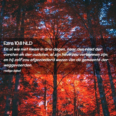 Picture 02 - Ezra 10:8 NLD - En al wie niet kwam in drie dagen, naar den raad - Bible Verse Picture
