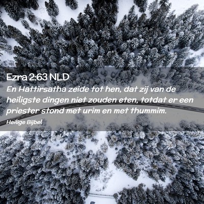 Picture 02 - Ezra 2:63 NLD - En Hattirsatha zeide tot hen, dat zij van de - Bible Verse Picture