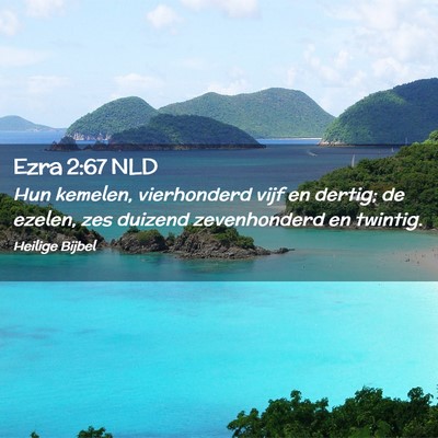 Picture 02 - Ezra 2:67 NLD - Hun kemelen, vierhonderd vijf en dertig; de - Bible Verse Picture