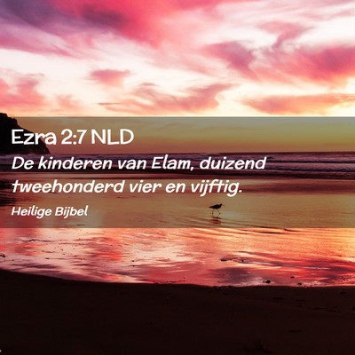 Picture 02 - Ezra 2:7 NLD - De kinderen van Elam, duizend tweehonderd vier en - Bible Verse Picture