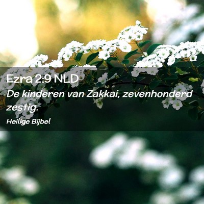 Picture 02 - Ezra 2:9 NLD - De kinderen van Zakkai, zevenhonderd - Bible Verse Picture