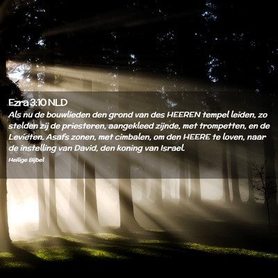 Picture 02 - Ezra 3:10 NLD - Als nu de bouwlieden den grond van des HEEREN - Bible Verse Picture