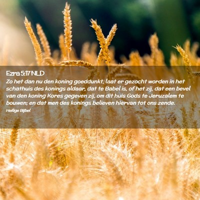 Picture 02 - Ezra 5:17 NLD - Zo het dan nu den koning goeddunkt, laat er - Bible Verse Picture