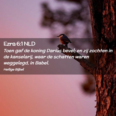 Picture 02 - Ezra 6:1 NLD - Toen gaf de koning Darius bevel; en zij zochten - Bible Verse Picture