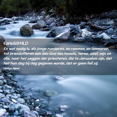 Picture 02 - Ezra 6:9 NLD - En wat nodig is, als jonge runderen, en rammen, - Bible Verse Picture