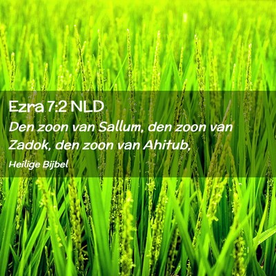 Picture 02 - Ezra 7:2 NLD - Den zoon van Sallum, den zoon van Zadok, den zoon - Bible Verse Picture