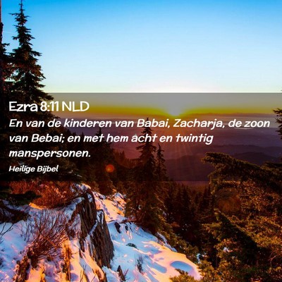 Picture 02 - Ezra 8:11 NLD - En van de kinderen van Babai, Zacharja, de zoon - Bible Verse Picture