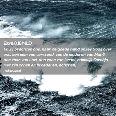 Picture 02 - Ezra 8:18 NLD - En zij brachten ons, naar de goede hand onzes - Bible Verse Picture