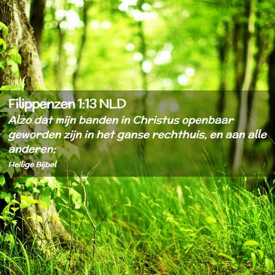 Picture 02 - Filippenzen 1:13 NLD - Alzo dat mijn banden in Christus openbaar - Bible Verse Picture