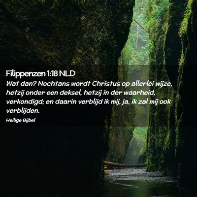 Picture 02 - Filippenzen 1:18 NLD - Wat dan? Nochtans wordt Christus op allerlei - Bible Verse Picture