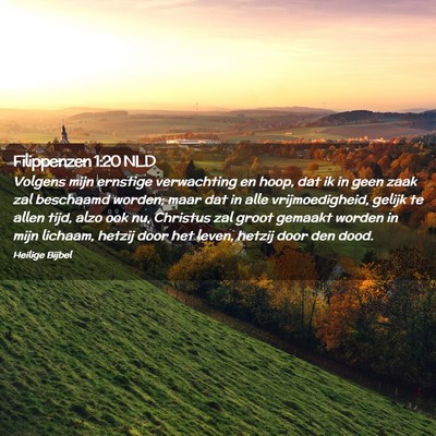 Picture 02 - Filippenzen 1:20 NLD - Volgens mijn ernstige verwachting en hoop, dat ik - Bible Verse Picture