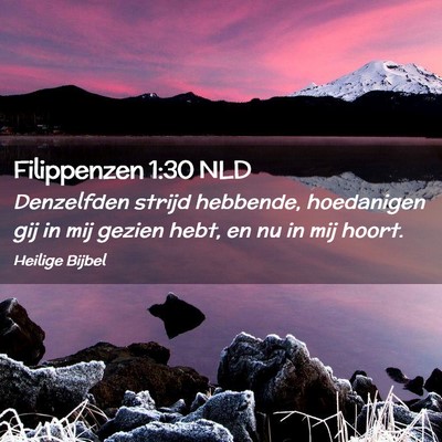 Picture 02 - Filippenzen 1:30 NLD - Denzelfden strijd hebbende, hoedanigen gij in mij - Bible Verse Picture