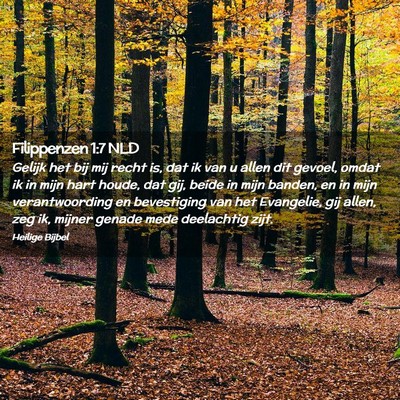 Picture 02 - Filippenzen 1:7 NLD - Gelijk het bij mij recht is, dat ik van u allen - Bible Verse Picture