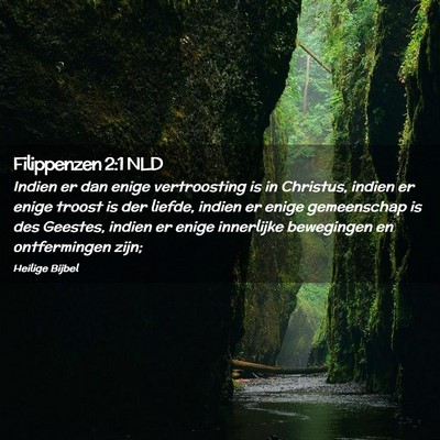 Picture 02 - Filippenzen 2:1 NLD - Indien er dan enige vertroosting is in Christus, - Bible Verse Picture