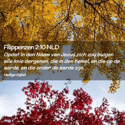 Picture 02 - Filippenzen 2:10 NLD - Opdat in den Naam van Jezus zich zou buigen alle - Bible Verse Picture