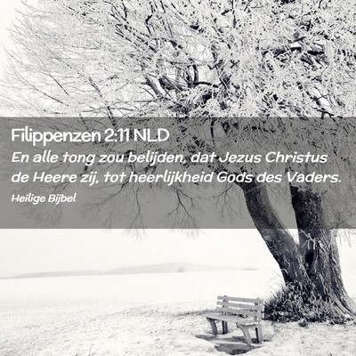 Picture 02 - Filippenzen 2:11 NLD - En alle tong zou belijden, dat Jezus Christus de - Bible Verse Picture