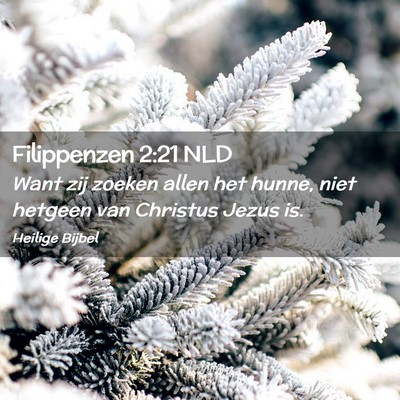 Picture 02 - Filippenzen 2:21 NLD - Want zij zoeken allen het hunne, niet hetgeen van - Bible Verse Picture