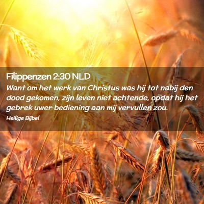 Picture 02 - Filippenzen 2:30 NLD - Want om het werk van Christus was hij tot nabij - Bible Verse Picture