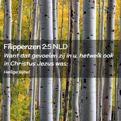 Picture 02 - Filippenzen 2:5 NLD - Want dat gevoelen zij in u, hetwelk ook in - Bible Verse Picture