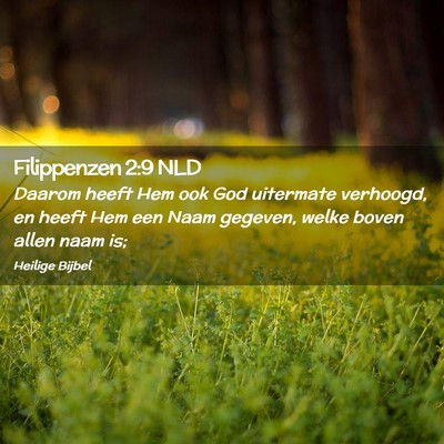 Picture 02 - Filippenzen 2:9 NLD - Daarom heeft Hem ook God uitermate verhoogd, en - Bible Verse Picture