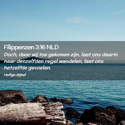 Picture 02 - Filippenzen 3:16 NLD - Doch, daar wij toe gekomen zijn, laat ons daarin - Bible Verse Picture