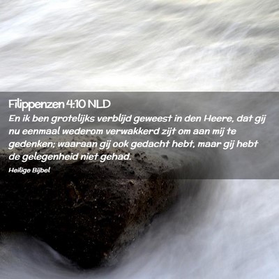 Picture 02 - Filippenzen 4:10 NLD - En ik ben grotelijks verblijd geweest in den - Bible Verse Picture