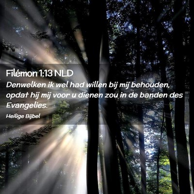 Picture 02 - Filémon 1:13 NLD - Denwelken ik wel had willen bij mij behouden, - Bible Verse Picture