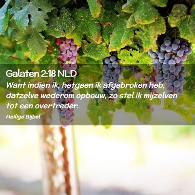 Picture 02 - Galaten 2:18 NLD - Want indien ik, hetgeen ik afgebroken heb, - Bible Verse Picture