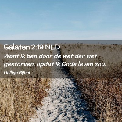 Picture 02 - Galaten 2:19 NLD - Want ik ben door de wet der wet gestorven, opdat - Bible Verse Picture