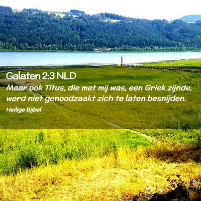 Picture 02 - Galaten 2:3 NLD - Maar ook Titus, die met mij was, een Griek - Bible Verse Picture