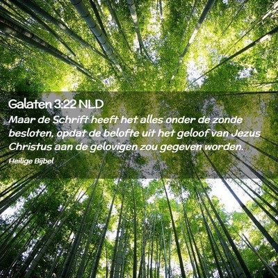 Picture 02 - Galaten 3:22 NLD - Maar de Schrift heeft het alles onder de zonde - Bible Verse Picture
